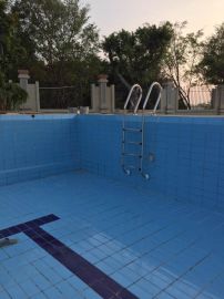 美人魚(yú)sf 315游泳池扶梯 ,東莞市企石上博康體設(shè)備商行